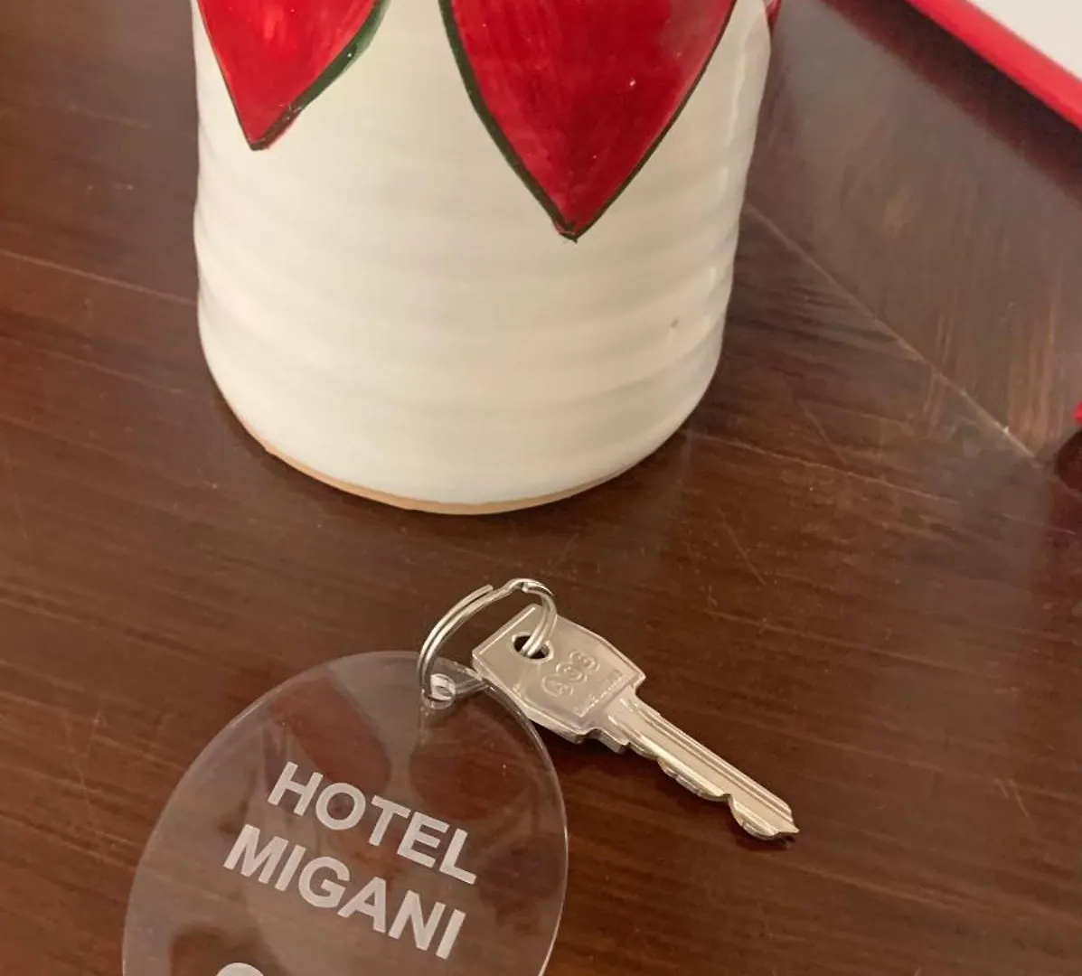 Hotel Migani Rimini Italy