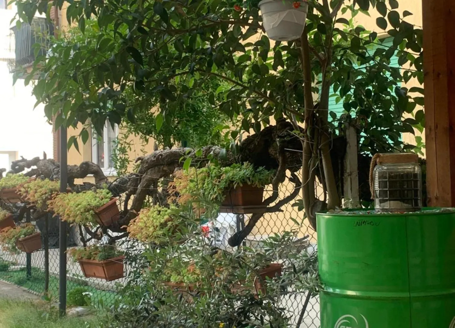 **  Hotel Migani Spiaggia Rimini Italia