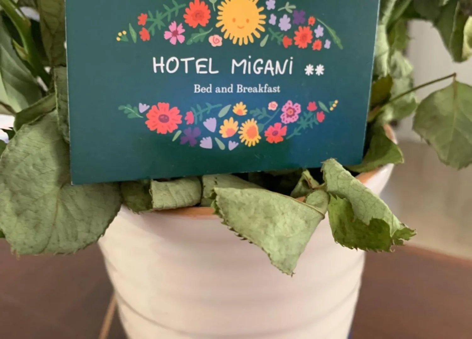 Hotel Migani Rimini